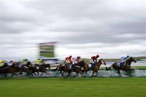 runners and riders for the grand national on saturday|Grand National Runners and Riders, covering all the horses, .